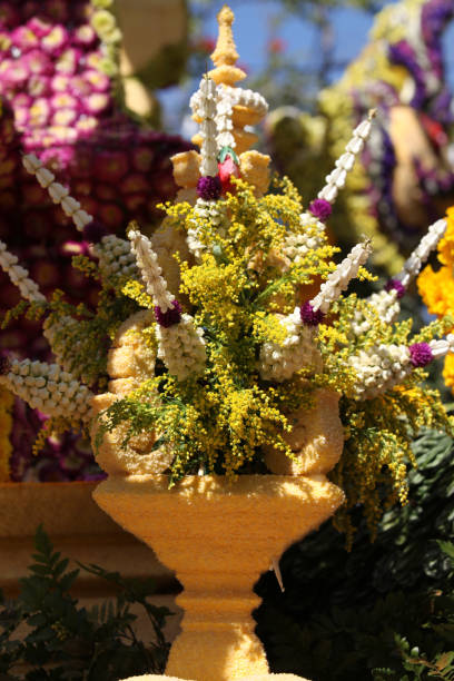 istock Bright colorful multicolored flowers, Thailand 840914268