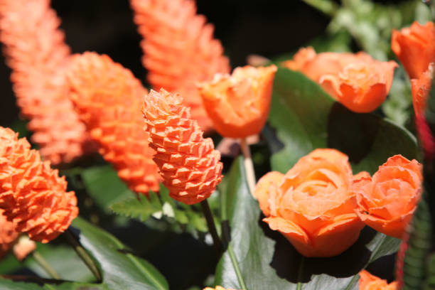 istock Bright colorful multicolored flowers, Thailand 840914424