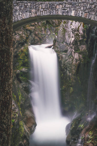istock Christine Falls in Mount Rainier National Park 840918106