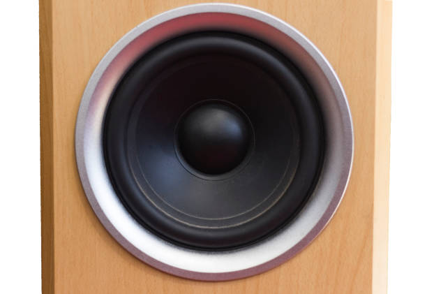 black bass speaker cone in wooden cabnet