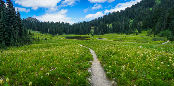 istock Mountain with Blue Sky and Green Grass and Lake 840919916