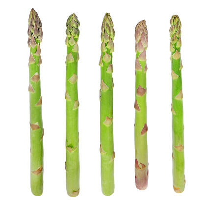 Fresh sprouts of asparagus isolated on white background.