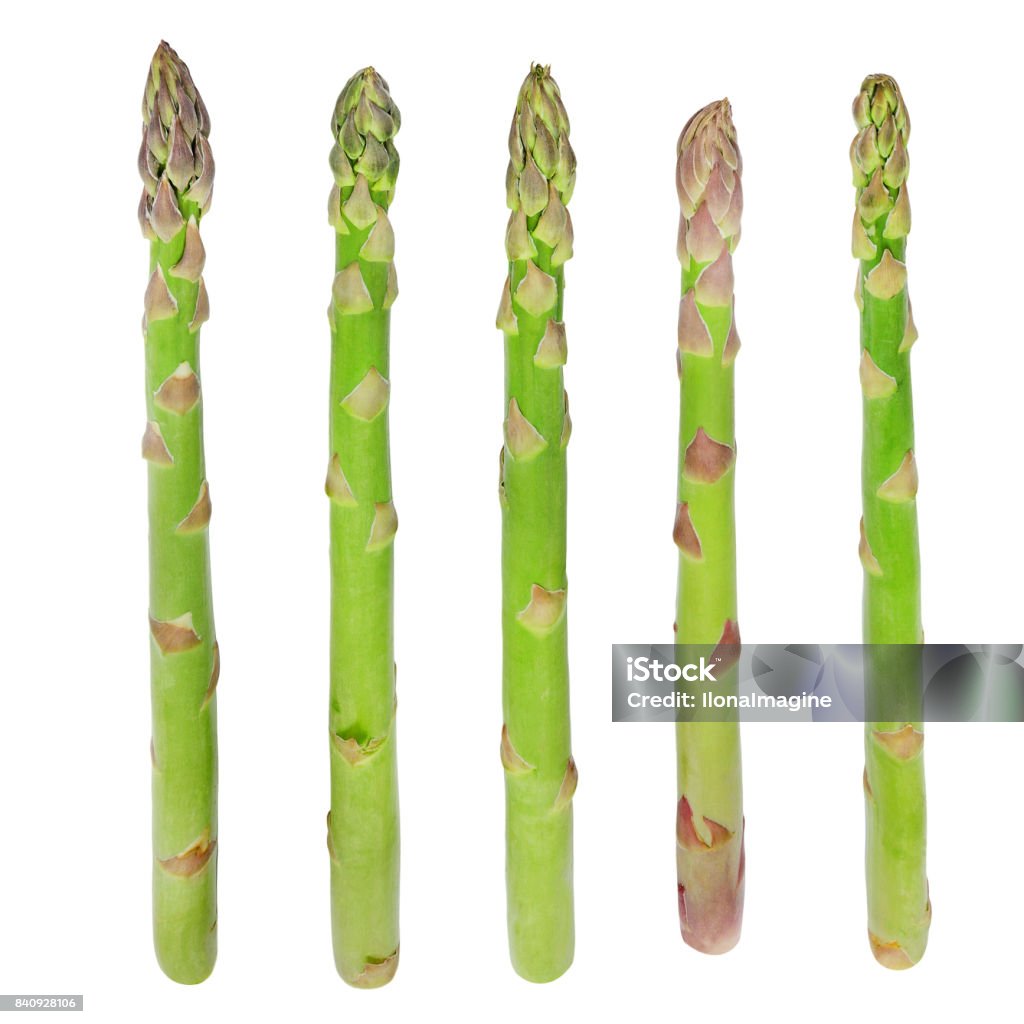 Fresh sprouts of asparagus. Fresh sprouts of asparagus isolated on white background. Asparagus Stock Photo