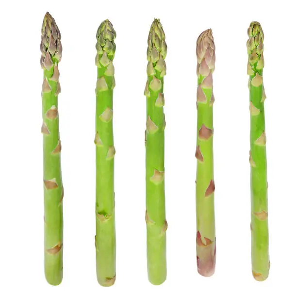 Photo of Fresh sprouts of asparagus.