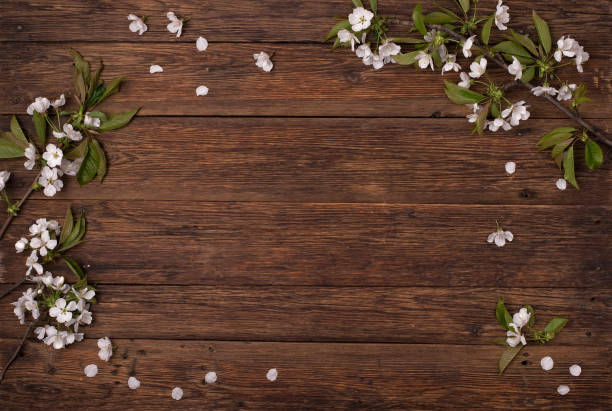 istock Spring flowers. Branches of a flowering cherry on a brown table. 840930676