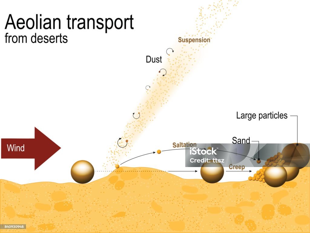 Aeolian transport from deserts Aeolian transport from deserts. Saltation mechanics Cross Section stock vector