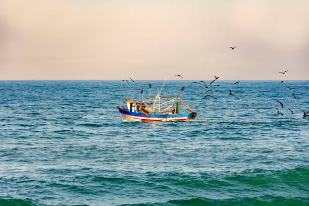 istock Fishing trawler with seagulls 840942774