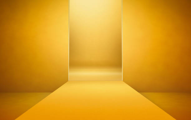 istock Empty catwalk background for fashion shots 840943012