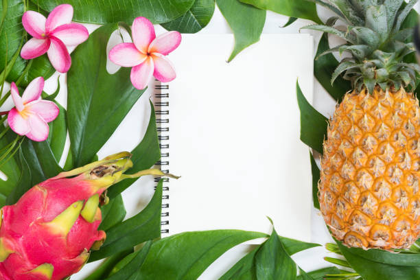 Tropic flat lay top view tropical botanic concept