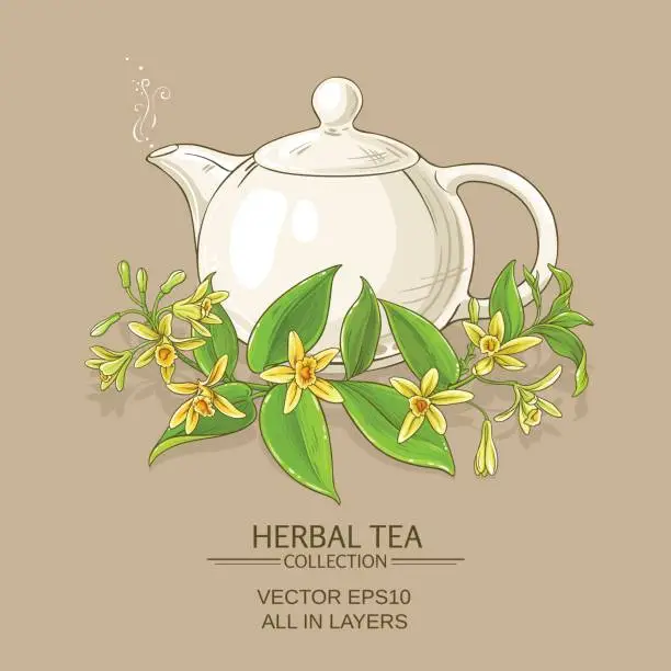 Vector illustration of vanilla tea illustration