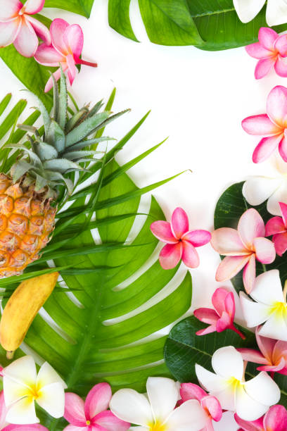 istock Tropic flat lay top view tropical botanic concept 840943604