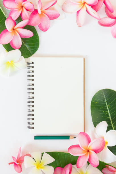 istock Tropic flat lay top view tropical botanic concept 840943970