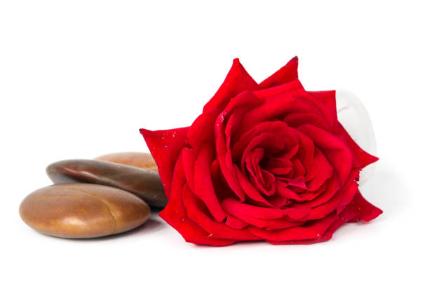istock Red rose soap herbal spa concept white background 840944766
