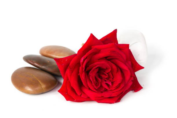 istock Red rose soap, herbal spa concept white background 840944782