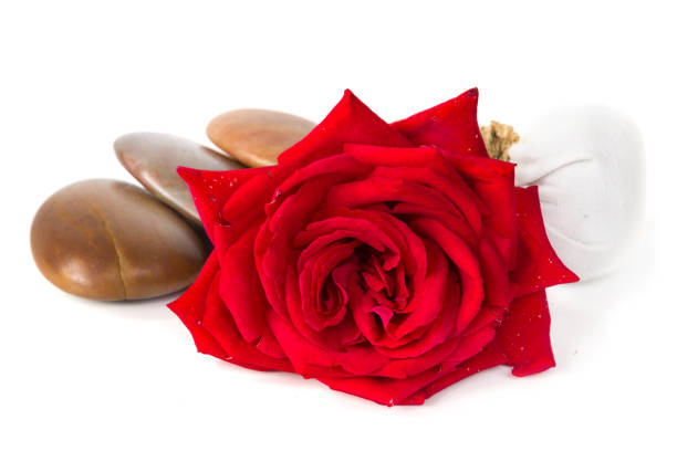 istock Red rose soap, herbal spa concept white background 840944828
