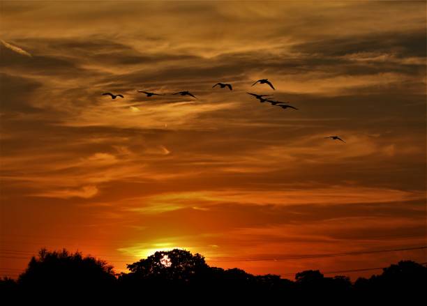 istock Flying away from the Sun 840956724
