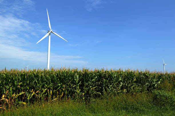 istock Illinois Energy Harvest 840956866