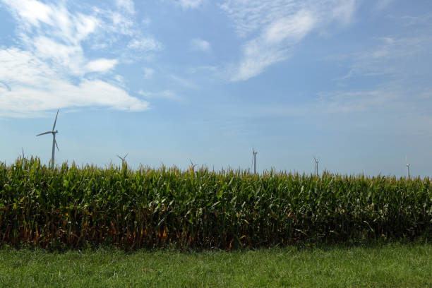 illinois energy harvest - illinois farm wind wind power zdjęcia i obrazy z banku zdjęć