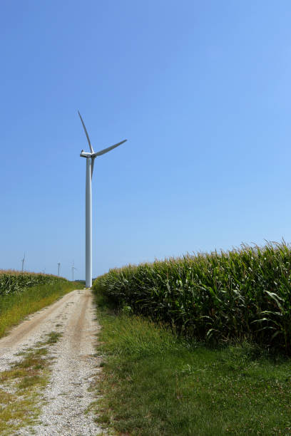 istock Illinois Energy Harvest 840956888