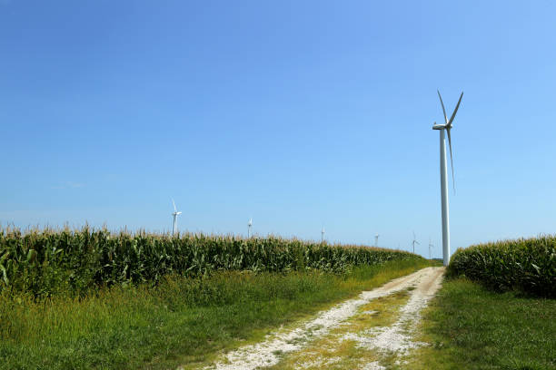 istock Illinois Energy Harvest 840956902