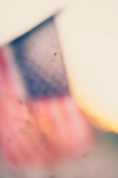 Autumn background with American flag in sunlight