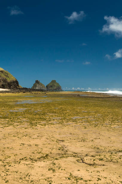 istock Fernando de Noronha - Brazil (Boldró Beach) 840971916
