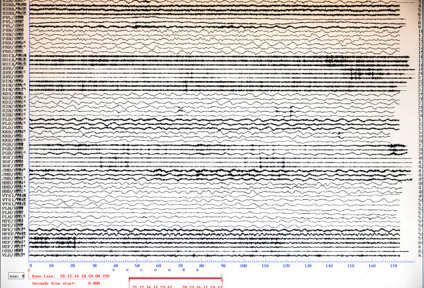 Seismological activity computer monitor Computer monitor of seismological activities measuring earthquakes. seismology stock pictures, royalty-free photos & images