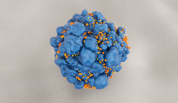 infectados por el vih la célula de t de la h9 - cell human cell plant cell virus fotografías e imágenes de stock