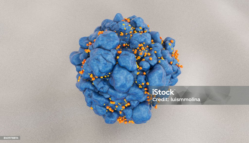 HIV-infected H9 T cell Scanning electromicrograph of an HIV-infected H9 T cell T-Cell Stock Photo