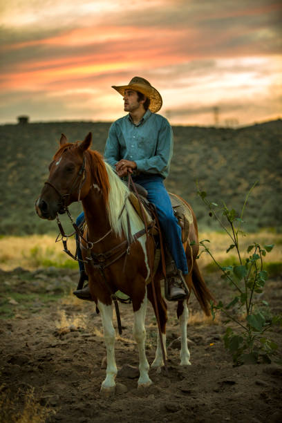 kowboj o zachodzie słońca - rein saddle cowboy hat hat zdjęcia i obrazy z banku zdjęć