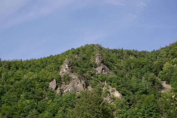 istock Castle on the rock in the woods. 840985352
