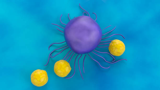 istock T Lymphocytes and Cancer Cell 840985476