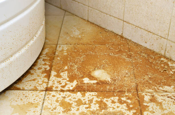istock Water with scale on a bathroom floor 840991212