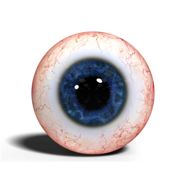 istock realistic human eye with blue iris isolated on white background 840996798