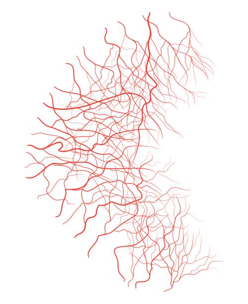 istock eye vein vector symbol icon design. Beautiful illustration isolated on white background 841001008