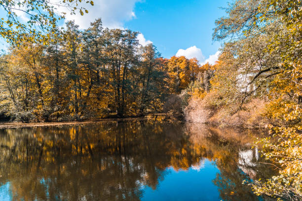 istock Landscape with Small lake in an autumn forest, reflection on a water, under blue sky. 841004398