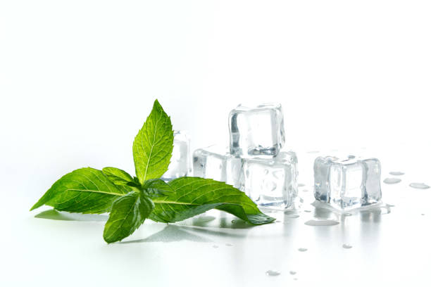 ghiaccio con menta isolata su bianco - mint peppermint water leaf foto e immagini stock