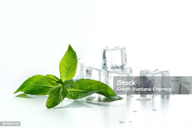 Ice With Mint Isolated On White Stock Photo - Download Image Now - Mint Leaf - Culinary, Ice Cube, White Background