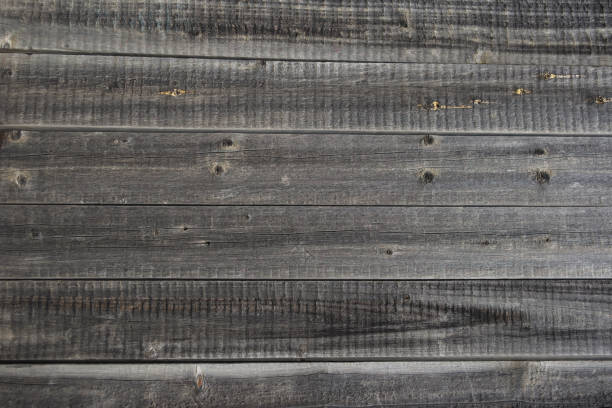istock Background old wooden boards covered with a moss 5 841004954