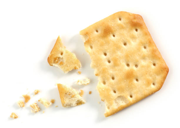 istock crumbs and pieces of cracker macro 841005282