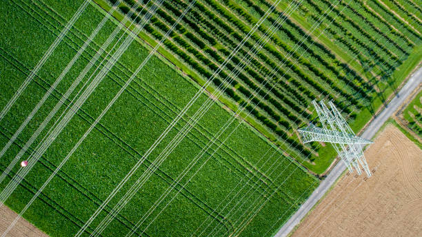istock Agricultural area, fields and transmission lines - aerial view 841018336