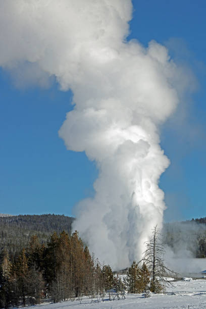 istock Yellowstone National Park in Winter 841019652