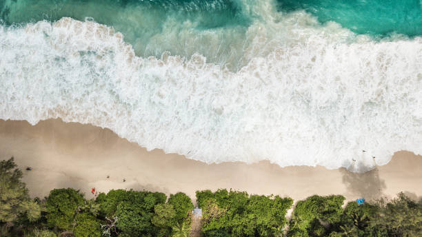 istock Aerial view of Anse Intendance - Mahe - Seychelles 841019764