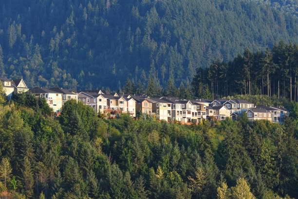 istock The houses in the forest 841019776