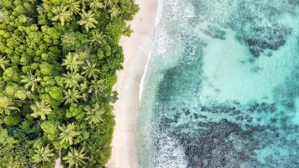 Aerial view of Anse Takamaka -  Mahe Island - Seychelles Aerial view of Anse Takamaka -  Mahe Island - Seychelles surfing photos stock pictures, royalty-free photos & images