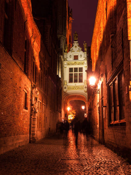 istock Blinde-Ezelstraat street in Bruges by night 841022790