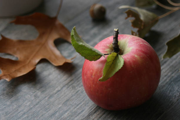 single organic apple with leaves over fall themed rustic background - macintosh apple imagens e fotografias de stock