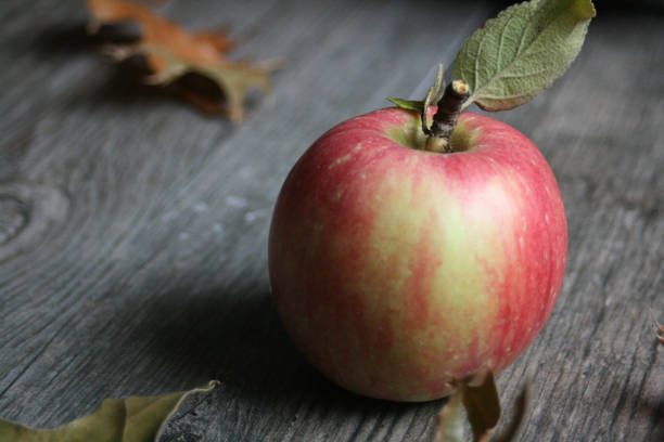 istock Single organic apple with leaves over autumn themed rustic background 841030132