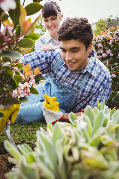 istock Young couple maintaining plants in garden 841030394