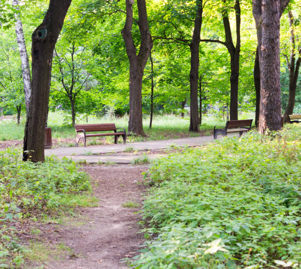 istock bench in the summer park. background, nature. 841033814